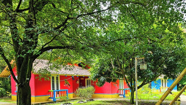 Un bâtiment aux couleurs vives, avec une façade rouge et jaune, entouré d’une végétation luxuriante et d’arbres.
