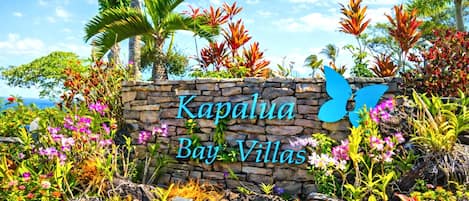 A stone sign with "Kapalua Bay Villas" written on it, surrounded by tropical plants and palm trees.