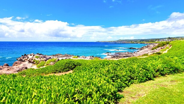 Un paysage côtier caractérisé par une végétation luxuriante et un ciel d’un bleu limpide.
