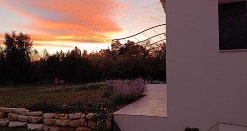 Le Refuge des Cigalons
Gîte authentique en Provence