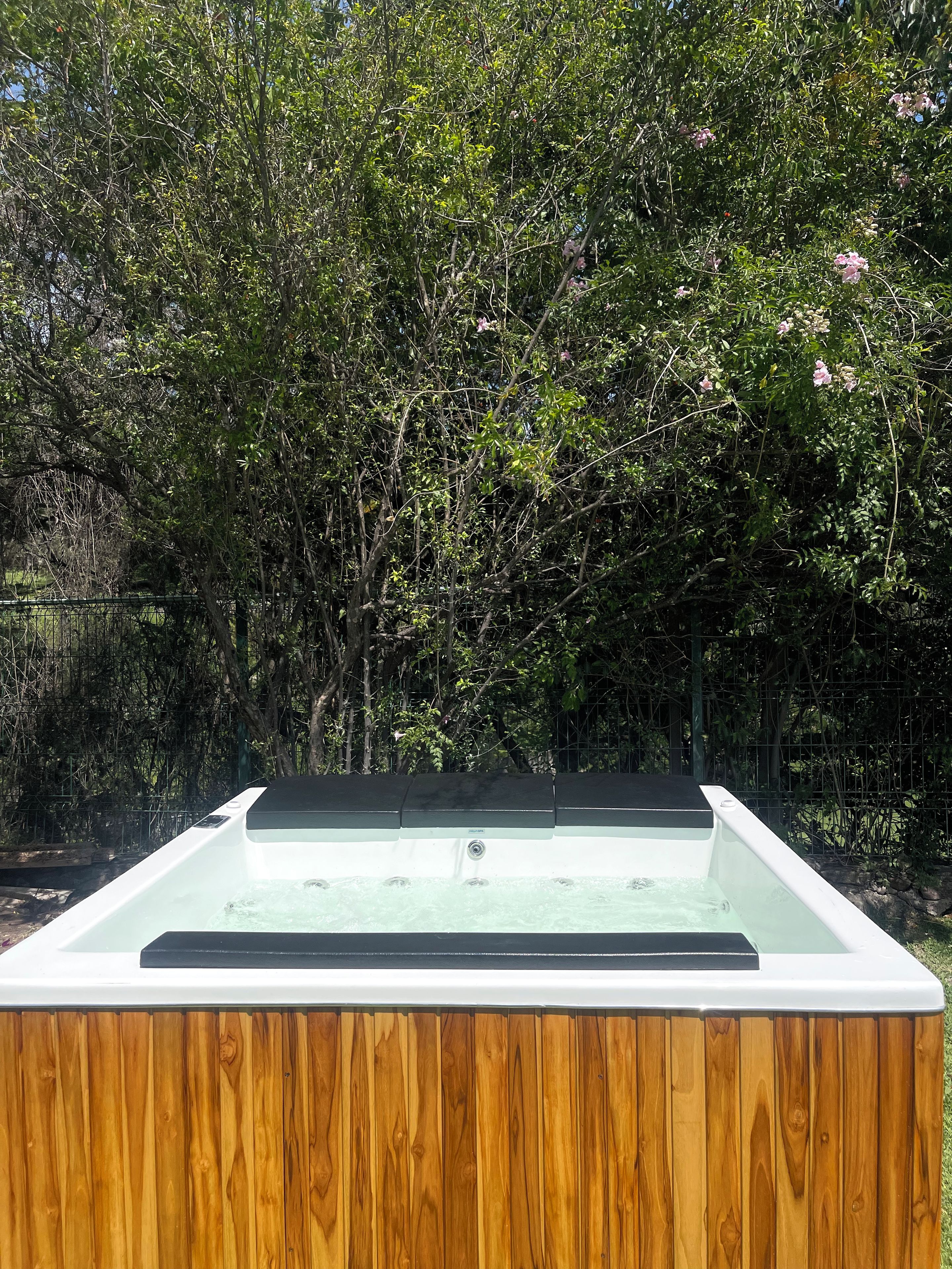 A hot tub with a wooden exterior, surrounded by dense foliage and a metal fence.