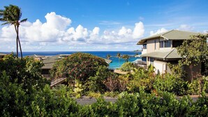 Um imóvel residencial com vista para o oceano, piscina e vegetação exuberante.