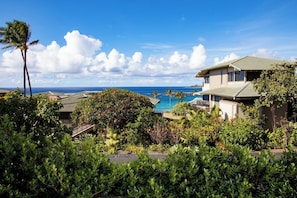 A residential property with a view of the ocean, a swimming pool, and lush greenery. - Kapalua Bay | Ocean View 5 BR, Sleeps 16 | Car Incl. w/ 6+ Nights | KBV ML-2071 by KBM (Lahaina)