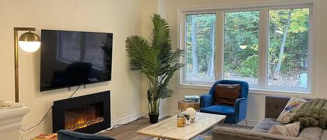 TV, fireplace