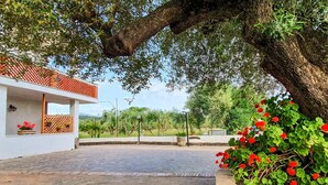 A modern house with a paved driveway, a wooden fence, and a large tree with red flowers. - Stunning apartment in Casal Velino with WiFi (Casal Velino)