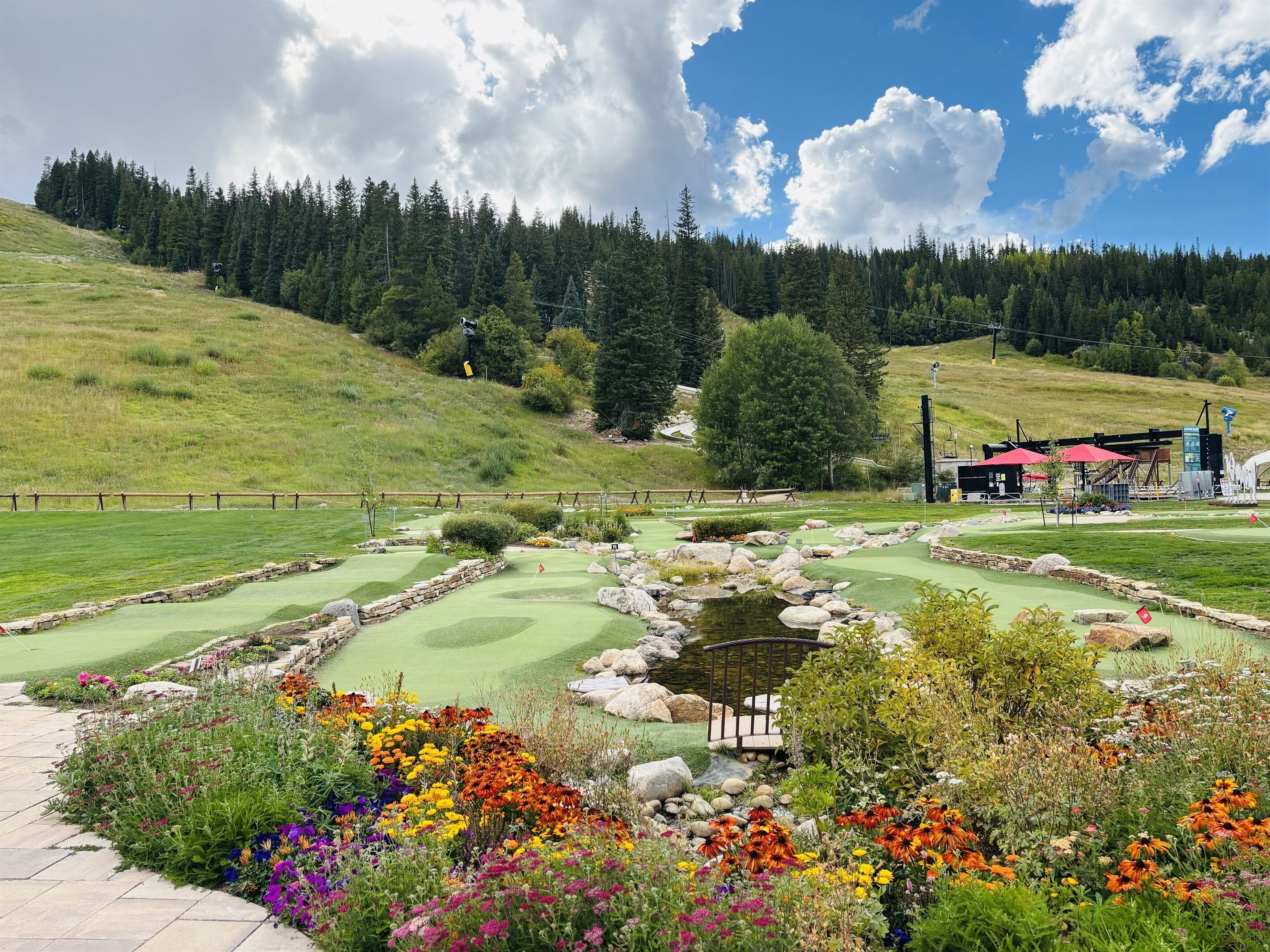 المنطقة المحيطة بالمنشأة