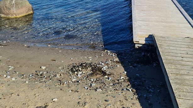 A wooden pier extending into calm waters with a clear sky above. - Cozy holiday home on Funen’s north coast (Bogense)