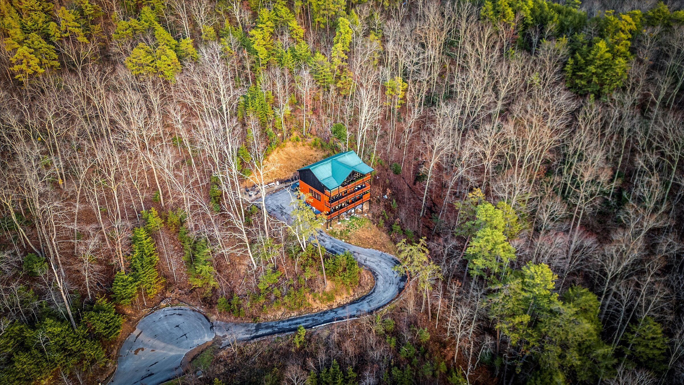 A cabin with a curved driveway surrounded by dense forest.