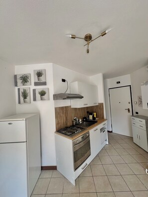 Fridge, oven, stovetop, dishwasher