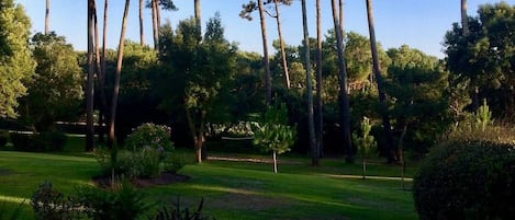 Overnattingsstedets uteområder