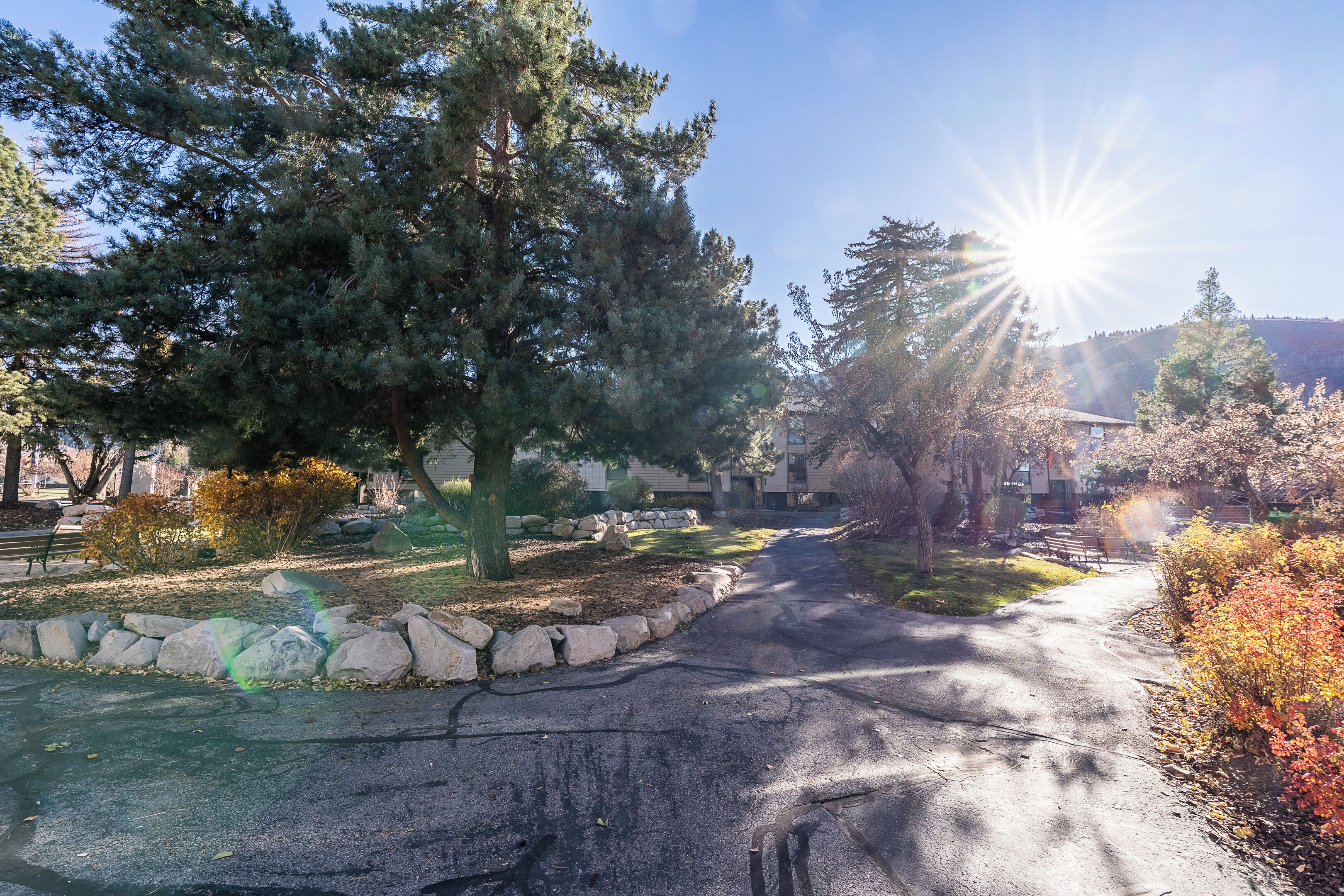 Terrein van de accommodatie