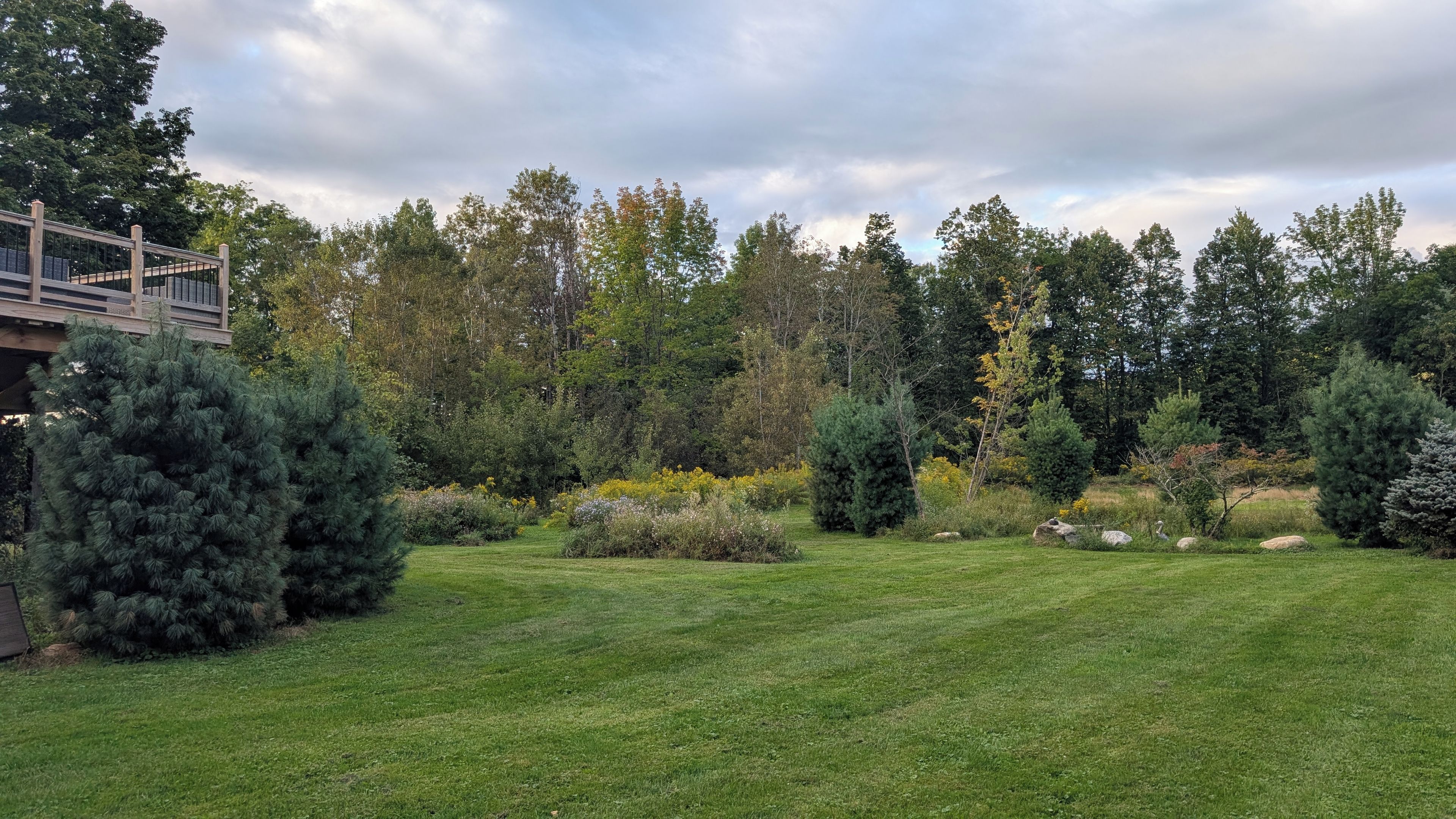 A well-maintained grassy lawn with a variety of trees and shrubs, a wooden deck, and a stone pathway.