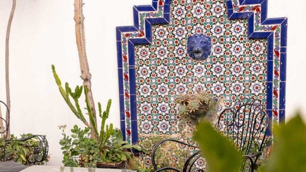 An outdoor patio with a tiled wall, a metal table with chairs, and various plants. - Hostel Pituco (Mendoza)