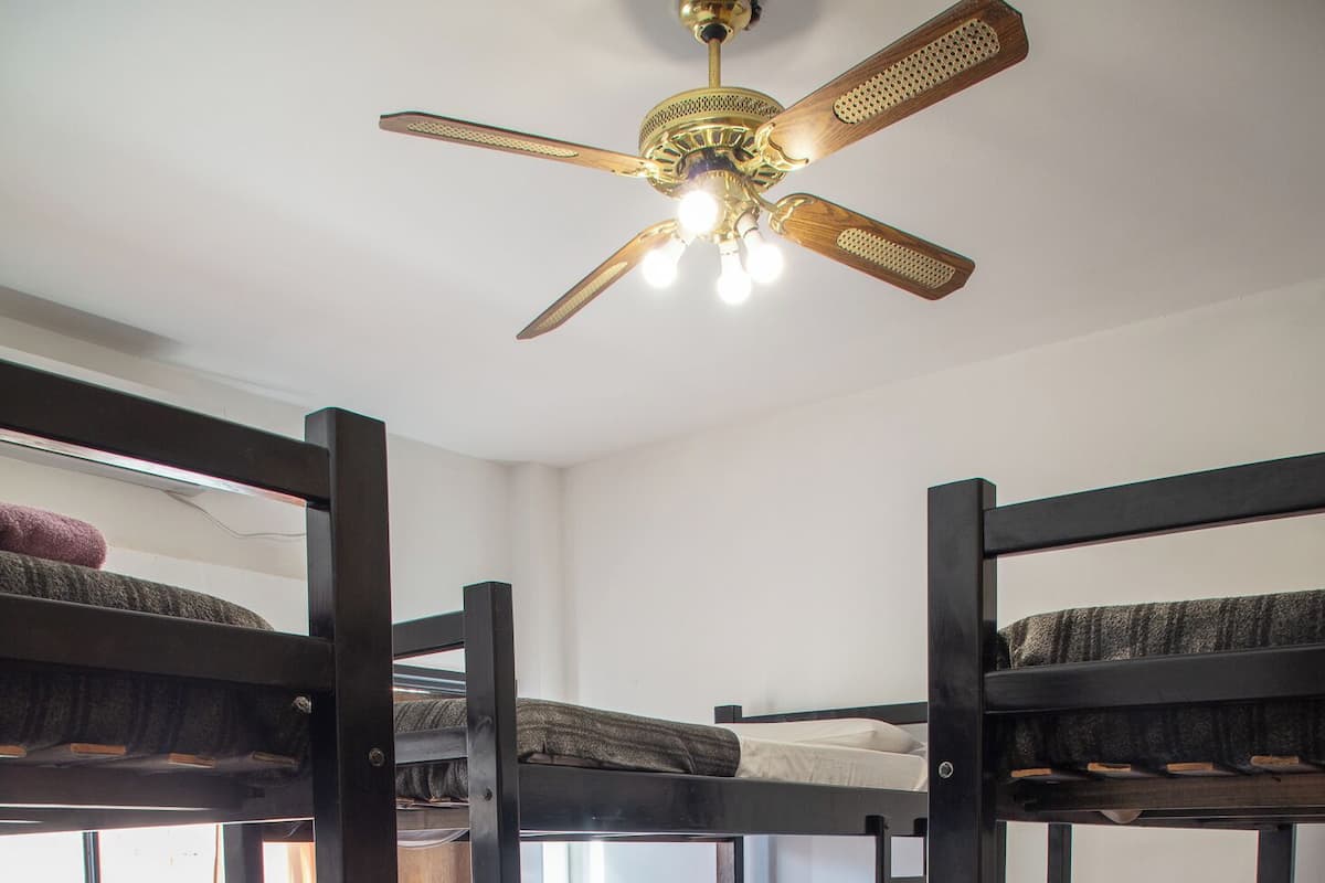 Economy Shared Dormitory, Mixed Dorm, Private Bathroom