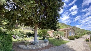 Una casa con camino de grava, pared de piedra y un árbol grande al frente.