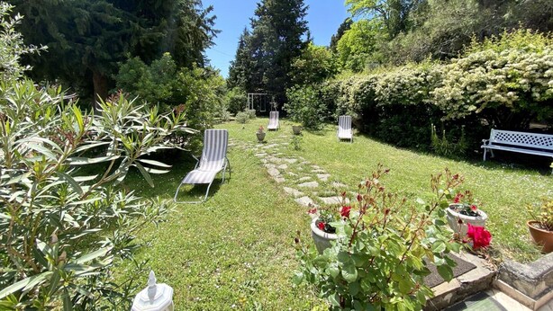 Un jardín con sendero de piedra, plantas en macetas y mobiliario exterior.