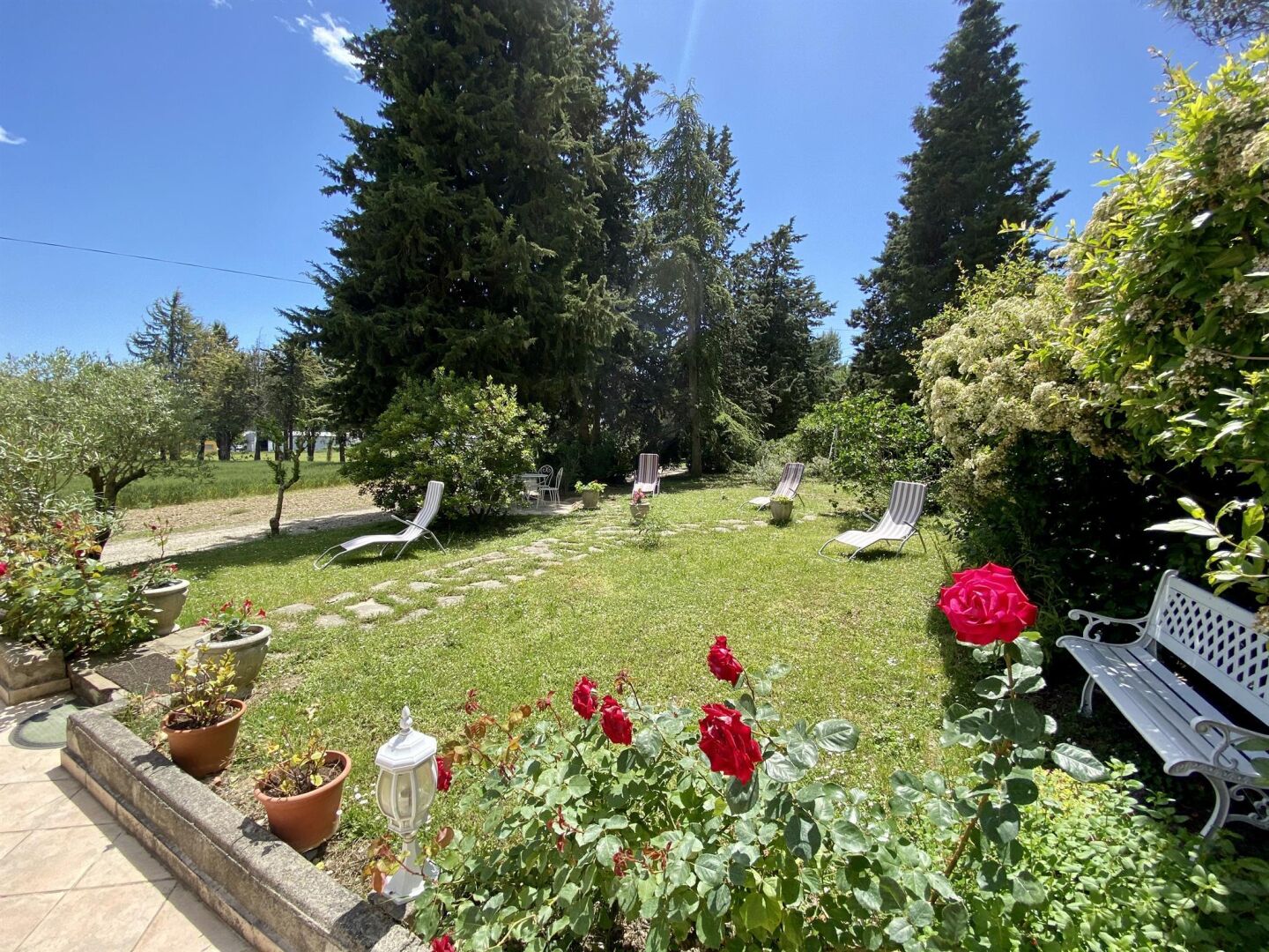 A garden with a lawn, potted plants, a white bench, and a pathway.