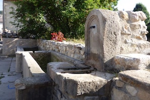 Property grounds - La Grange - CAMURAC - Gîte (CAMURAC)