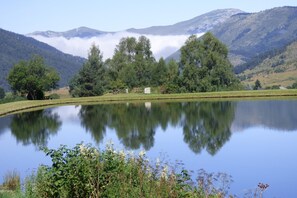 Unclassified image, 4 of 20, button