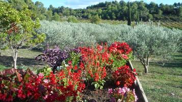 Jardines del alojamiento