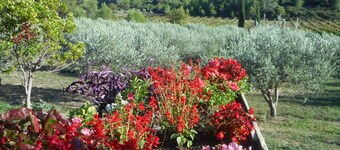 Le Camberaud - MAILHAC