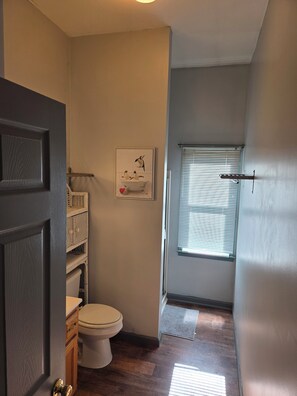 Regadera, secadora de cabello, toallas, jabón 