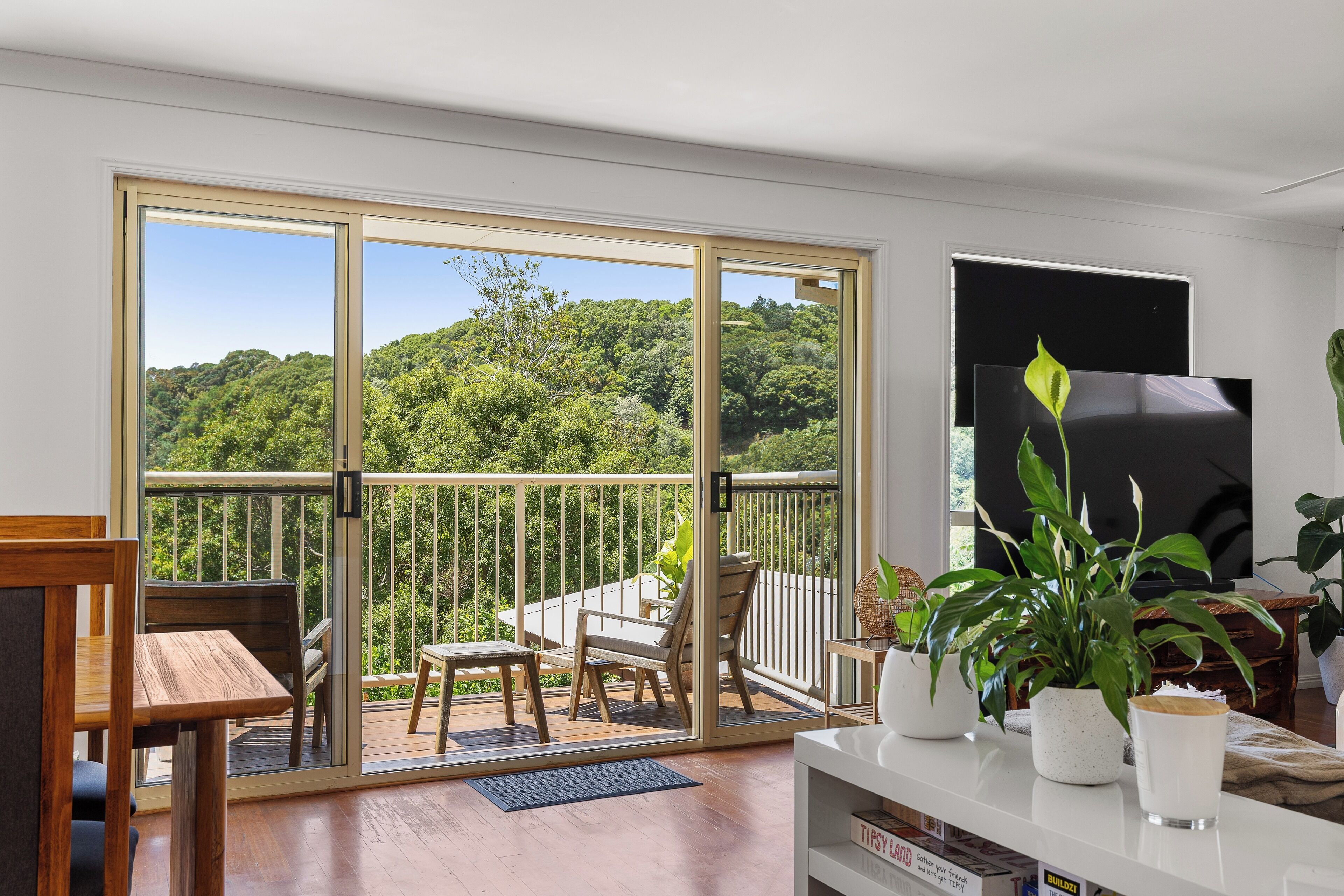 Smart TV, fireplace, books