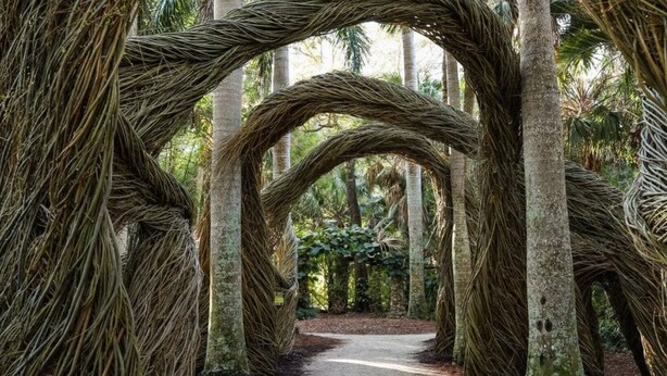 A pathway flanked by large trees with thick, twisted trunks. - Coastal Haven in Sebastian W/ Heated Saltwater Pool, BBQ Grills, Fire Pit & Near Beaches!🌴 (Sebastian)