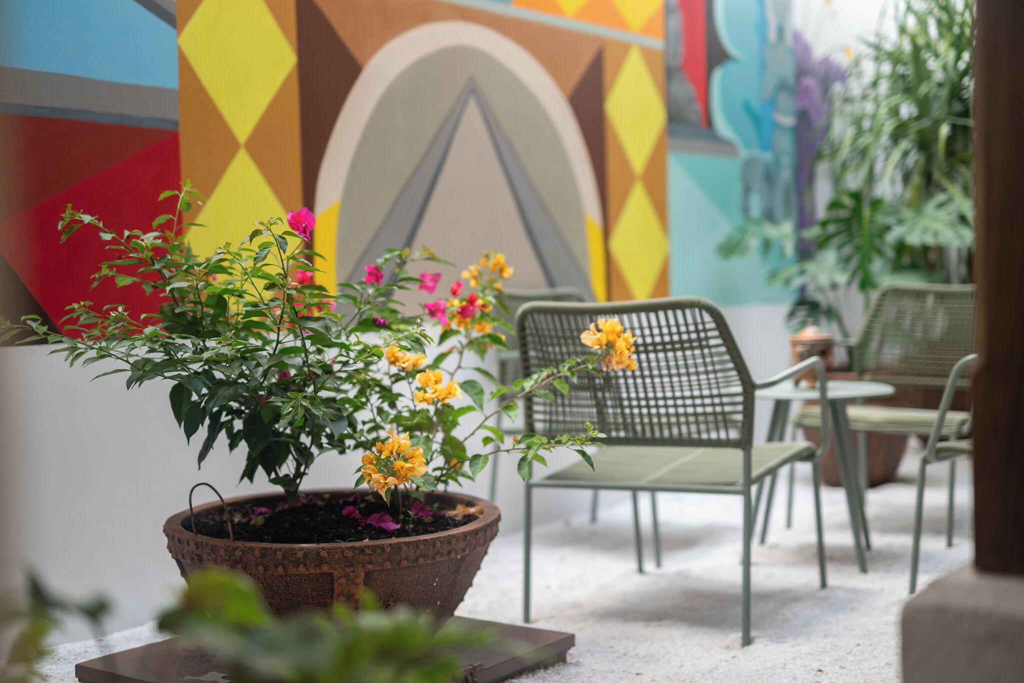 Enceinte de l’hébergement