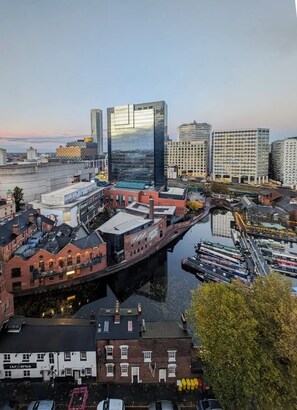 Aerial view - Apartment near university parks and cricket stadium (Birmingham)