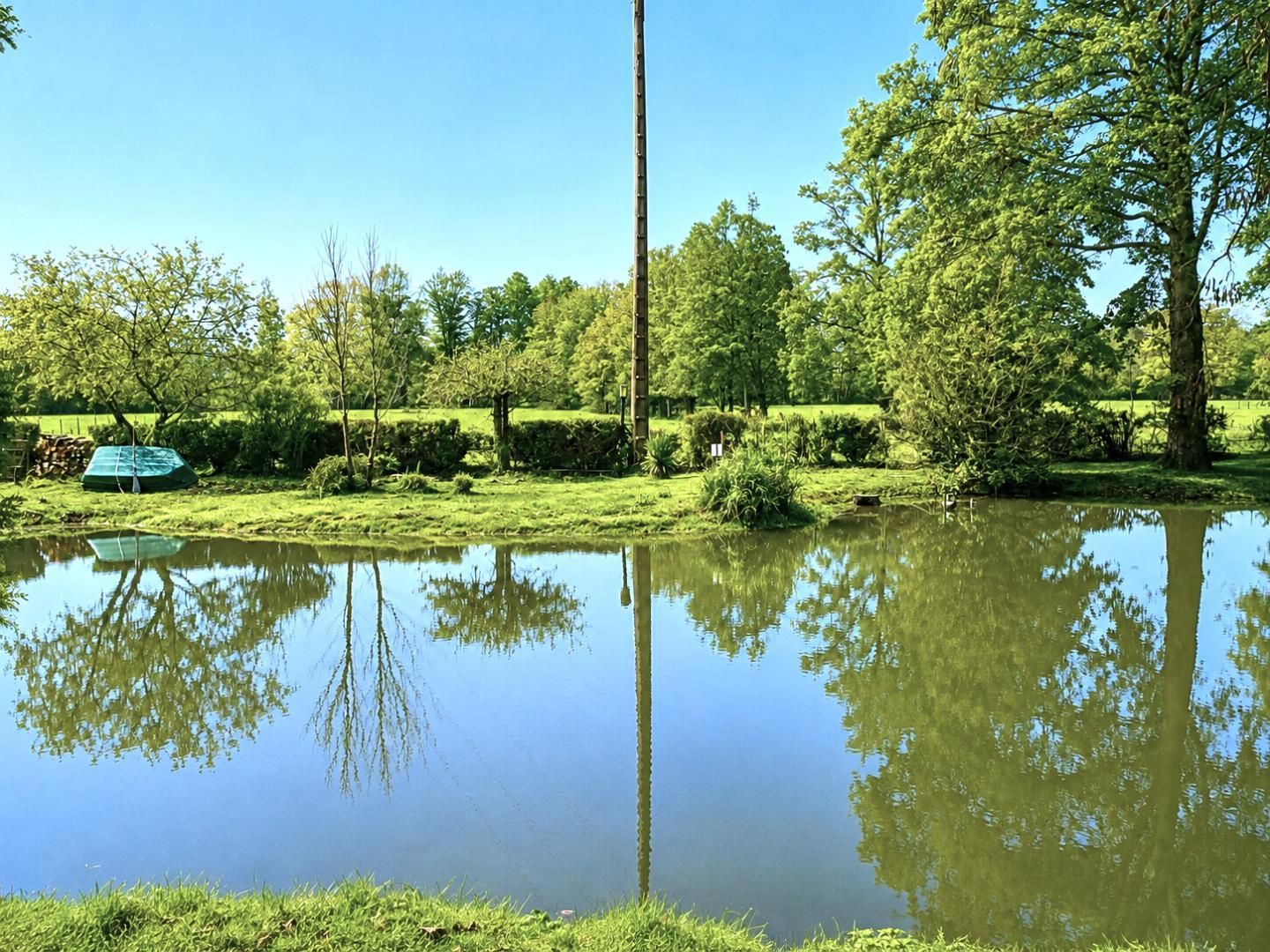 A calm pond surrounded by lush greenery and trees, with a clear reflection of the sky and vegetation.