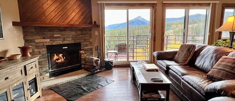 Smart TV, chimenea, videojuegos y reproductor de DVD