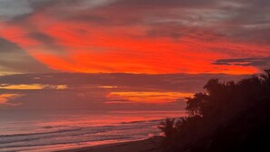 A sunset over a beach with palm trees in the foreground.