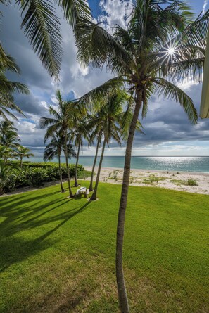 Property grounds - Exlcusive Private Beach: 5BR Beachfront Estate (Sarasota)