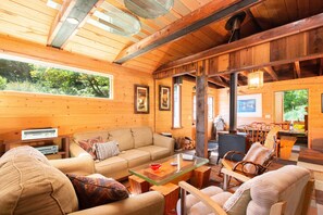 تلفزيون ذكي، مدفأة