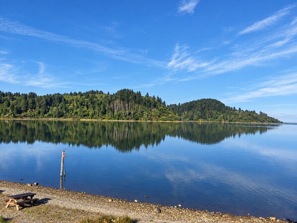 Un lago tranquilo con una isla boscosa y una mesa de picnic en la orilla.