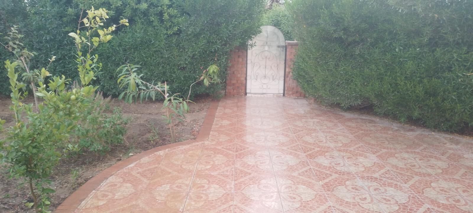 Un vialetto lastricato che conduce a un cancello, circondato dal verde.