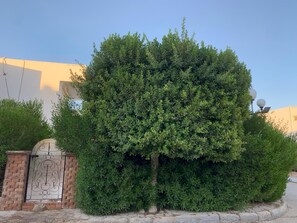 Overnatningsstedets område