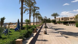 A pathway lined with palm trees and a row of buildings with a flat roof.