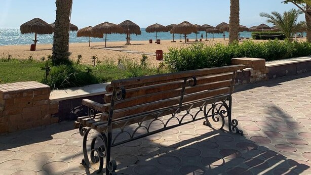 A beachside walkway with a wooden bench, palm trees, and thatched umbrellas.