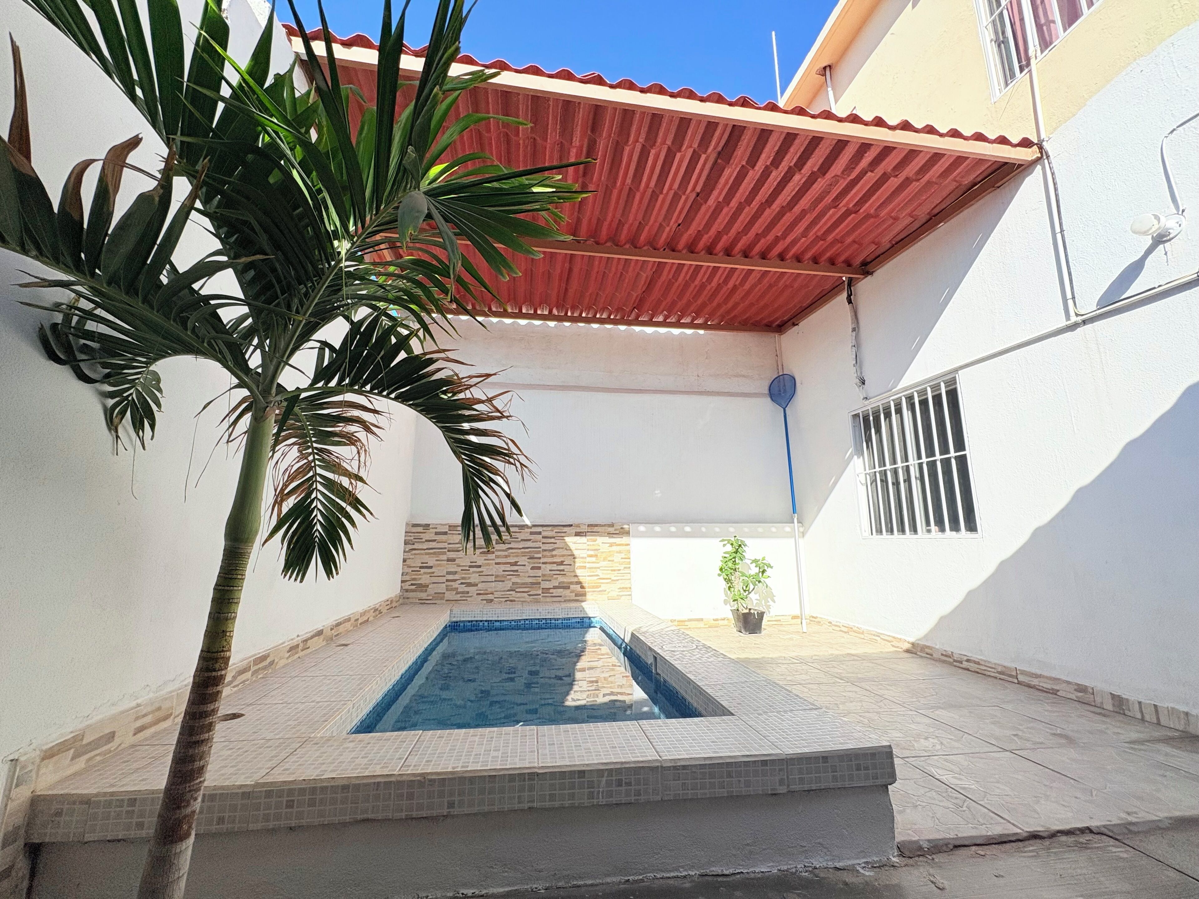 Una piscina con bordes de azulejos, una palmera y una zona con techo rojo.