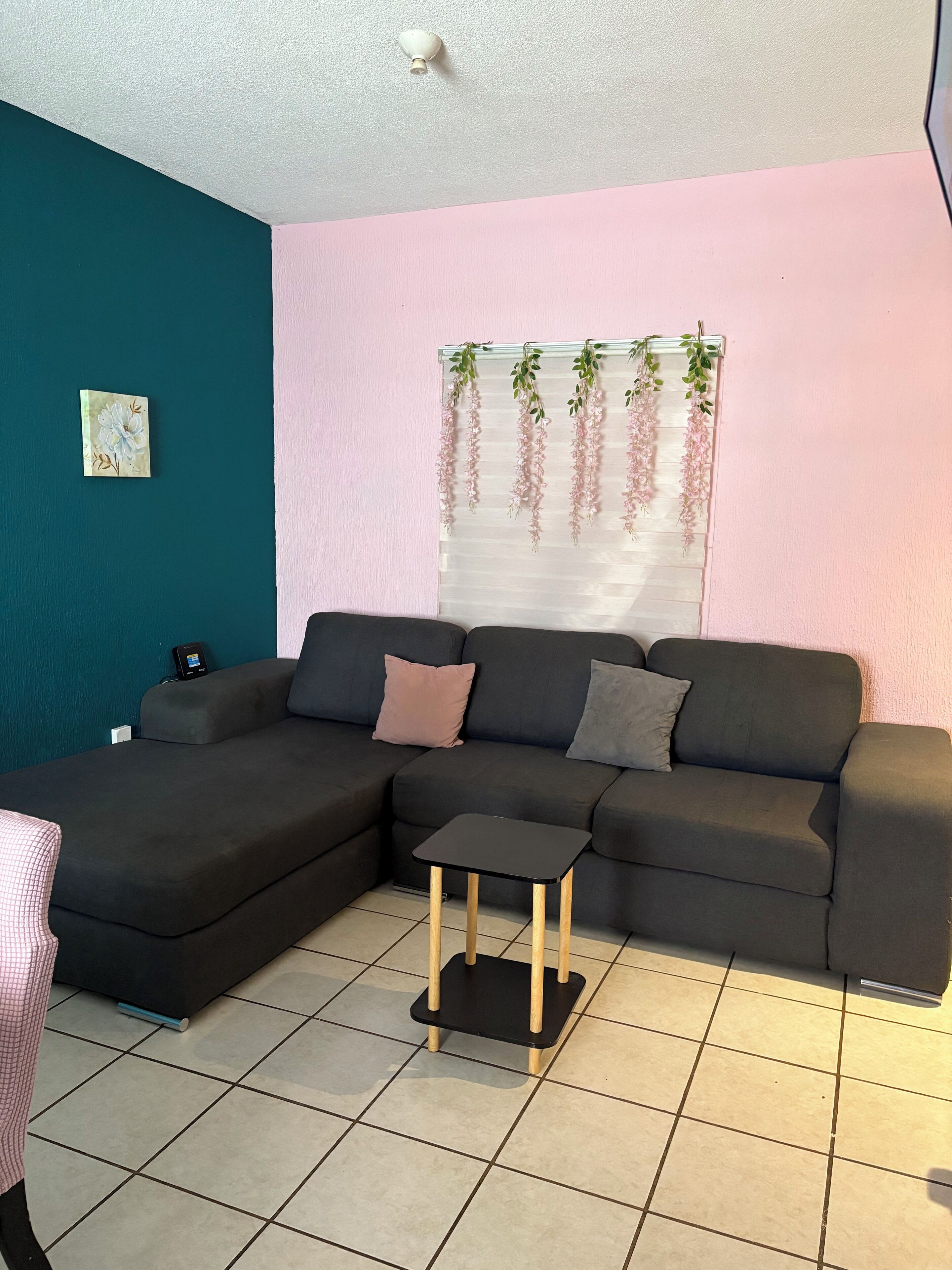 A living room with a sectional sofa, a small black table, and a decorative hanging plant.