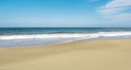 Gangneung Thenext Pension