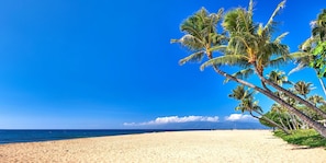 Beach - Kaanapali Shores Stunner! | KBM Resorts | 2 Units, 4 Bedrooms | KS ML-2481 (Lahaina)