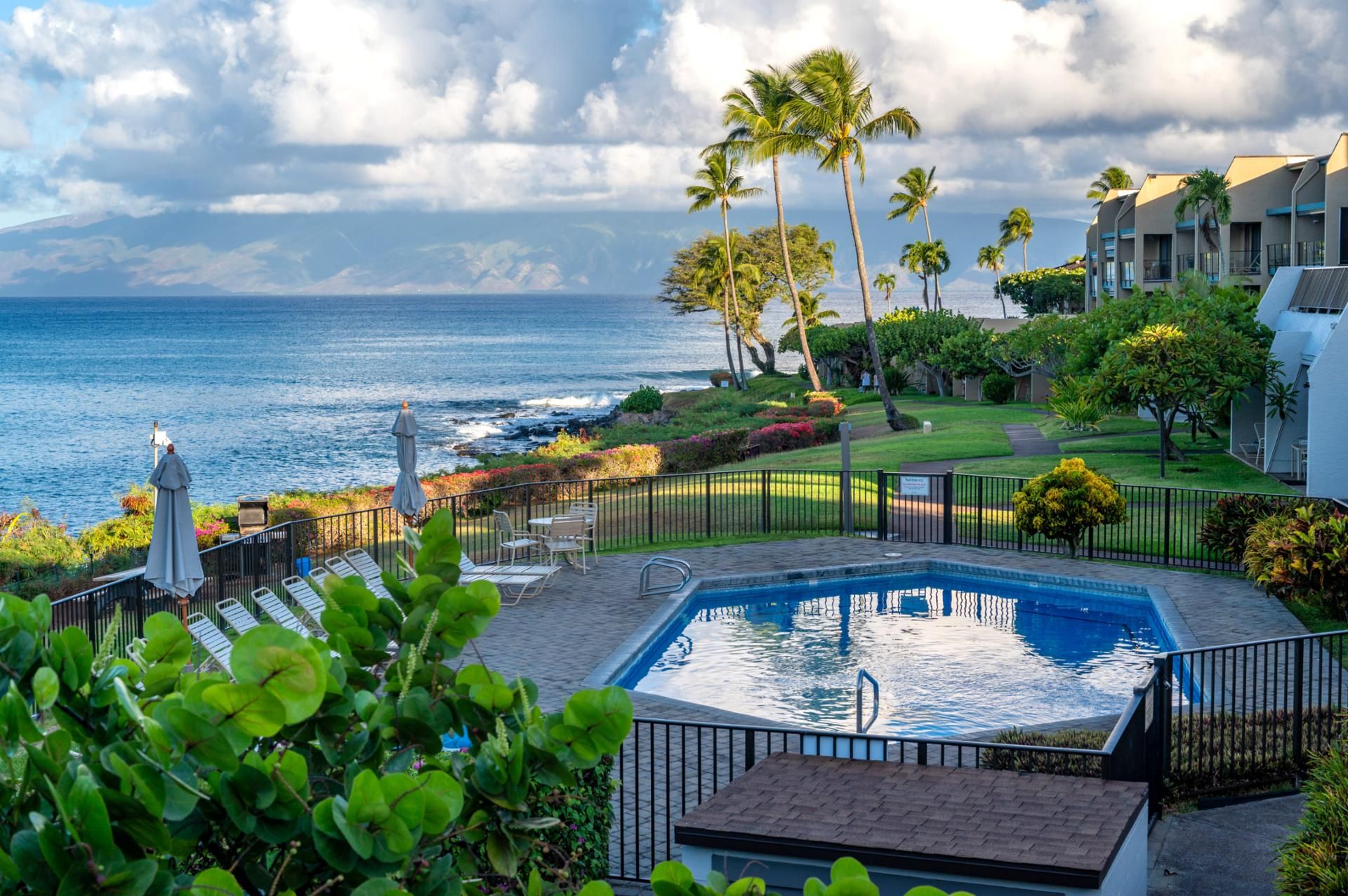 Zona de piscina con vistas al océano, rodeada de palmeras y un césped bien cuidado.