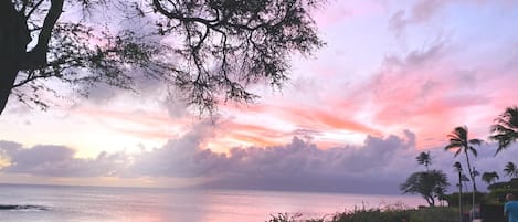 Escena costera con un atardecer, palmeras y una masa de agua.
