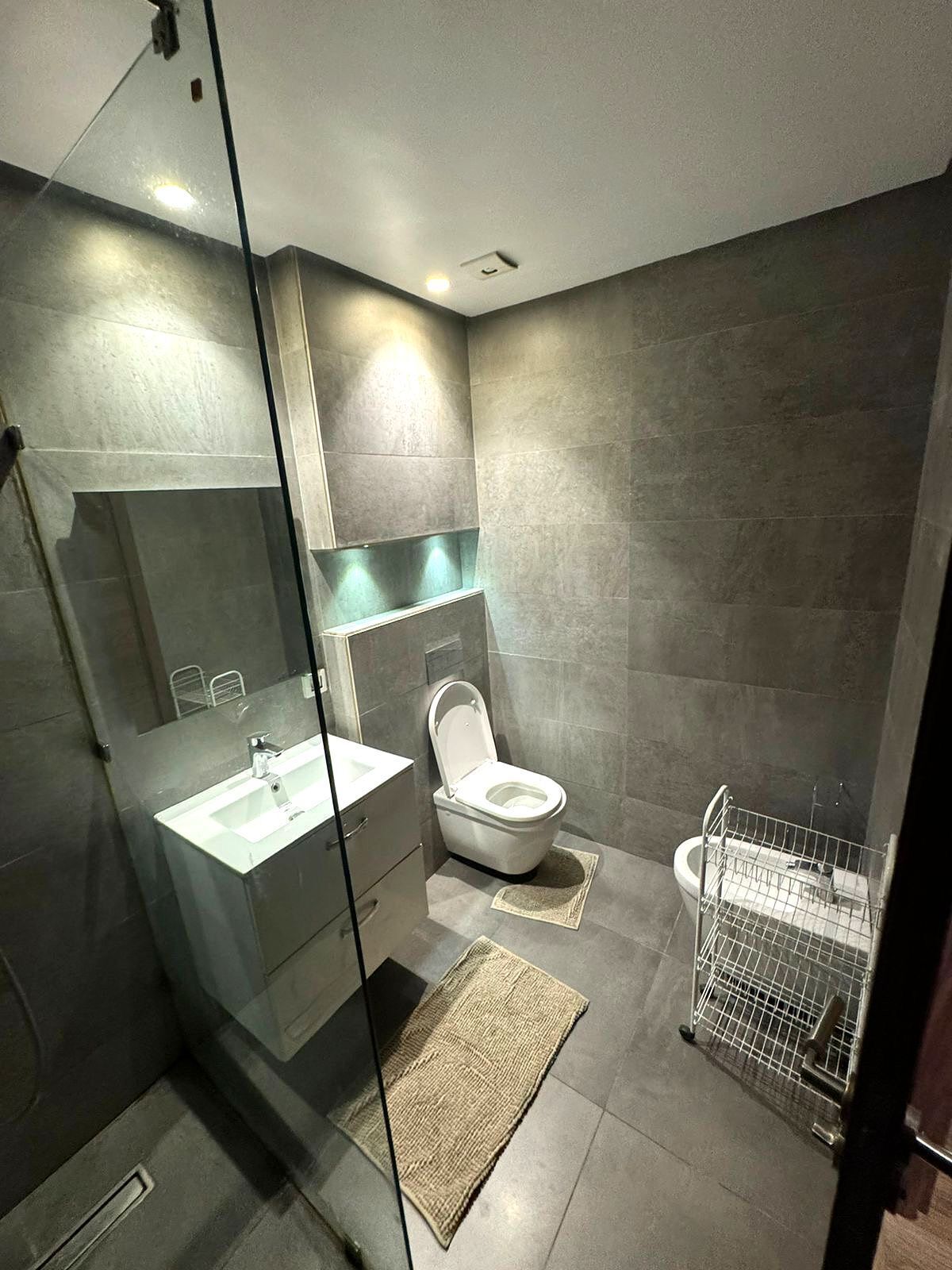 Hair dryer, bidet, towels, soap