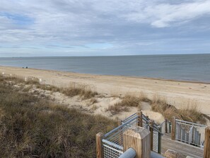 Beach - Pink Flamingo - Pet Friendly, Beach Side, Wi-Fi (Norfolk)