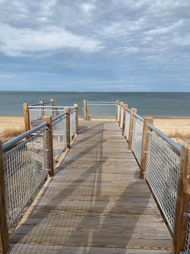 Pink Flamingo - 30 Days Listing