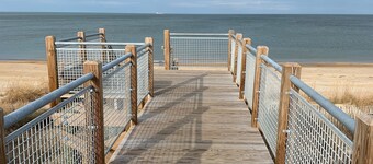 Pink Flamingo - 30 Days Listing